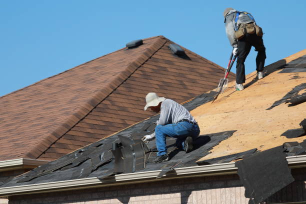 Best Metal Roofing Installation  in Twin Lake, MI